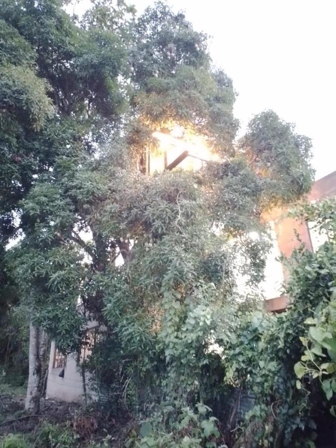 La Casita Del Arbol Guaduas Cundi. 호텔 외부 사진