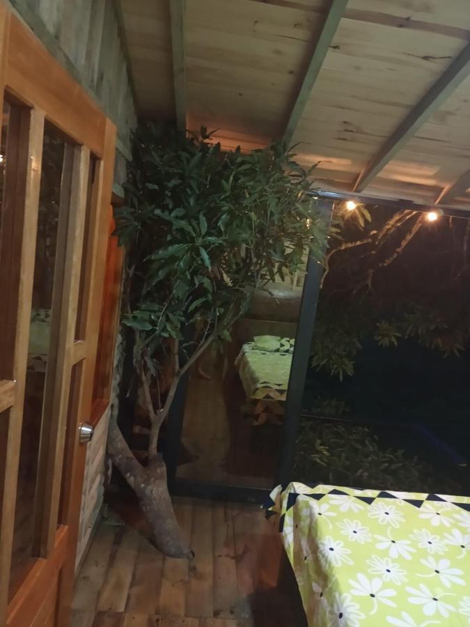 La Casita Del Arbol Guaduas Cundi. 호텔 외부 사진