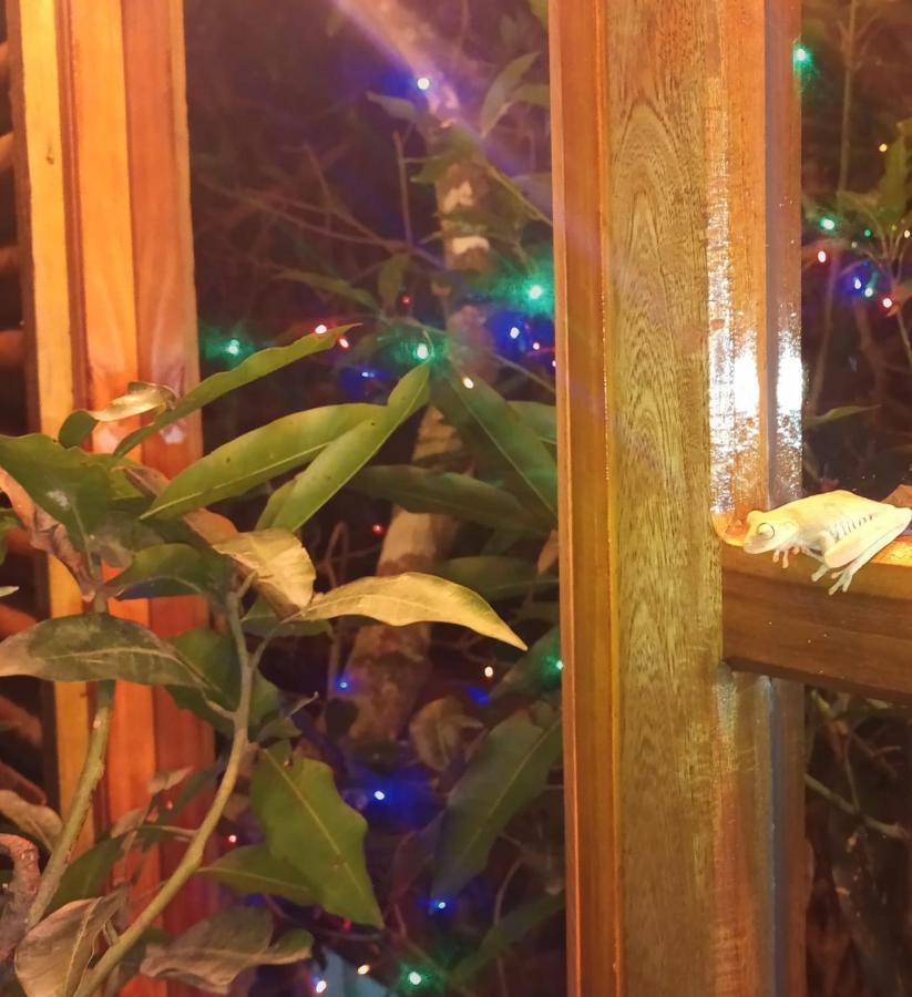 La Casita Del Arbol Guaduas Cundi. 호텔 외부 사진